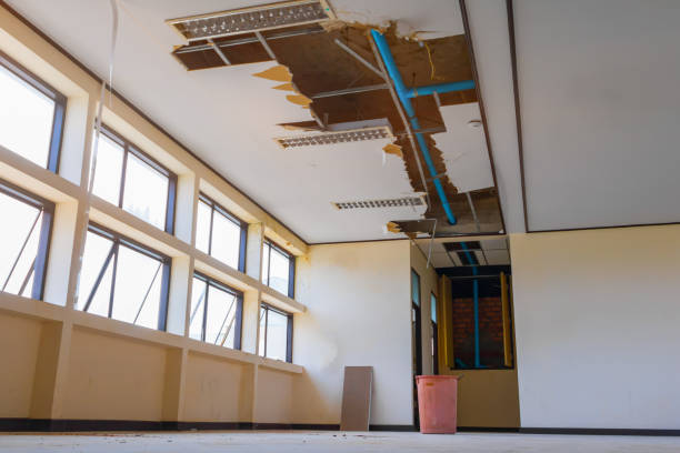Best Water damage restoration specialists  in East Speer, NC