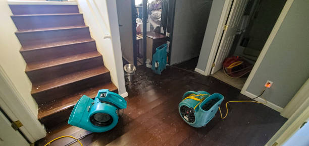 Best Flooded house restoration  in East Speer, NC