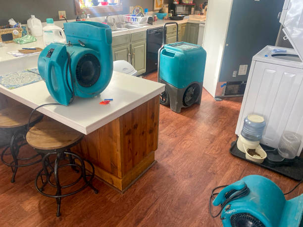 Best Water damage contractors near me  in East Speer, NC