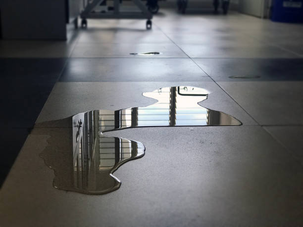 Best Professional water damage repair  in East Speer, NC