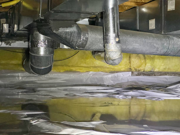 Best Water damage restoration near me  in East Speer, NC